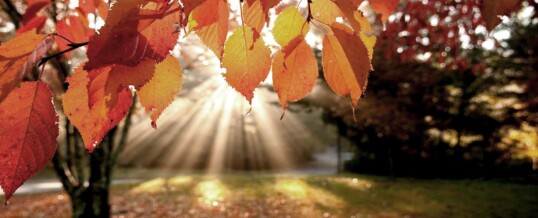 In de herfst naar de sauna?